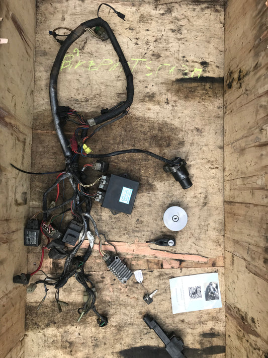 Yamaha FZR 600 wiring, ECU, locks & key 3HE 1989
