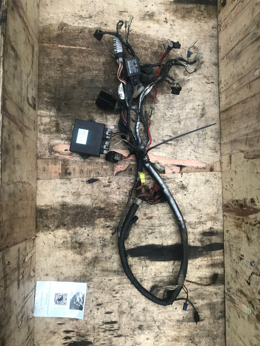 Yamaha FZR 600 complete wiring 3HE 1989