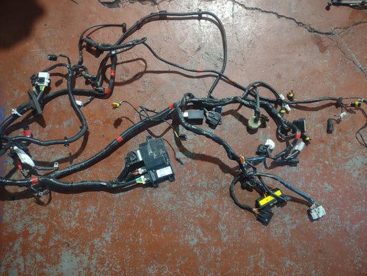 Piaggio vespa GTS 125 wiring loom, ECU (2024)
