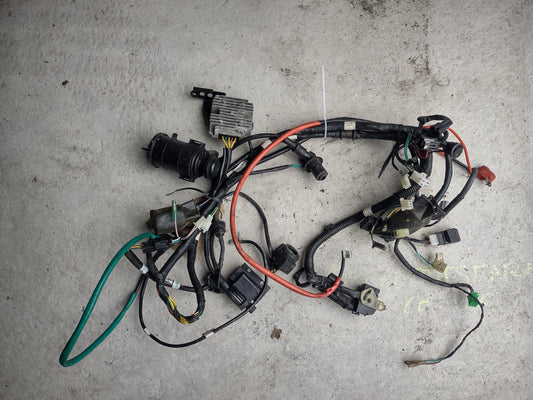 Kymco agility 125 wiring loom (OEM)